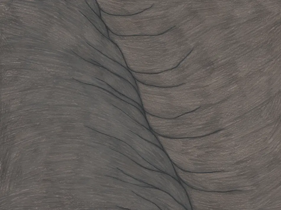 Azaletik Azalera / Skin to Skin (2021)