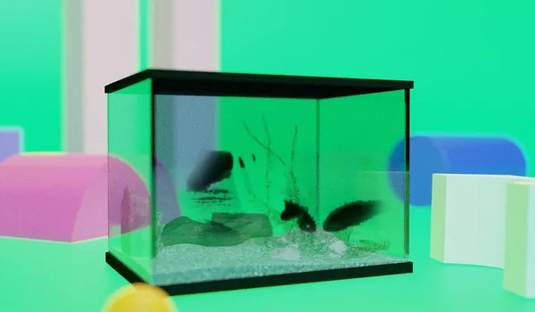 Flowing Soil And Other Forms