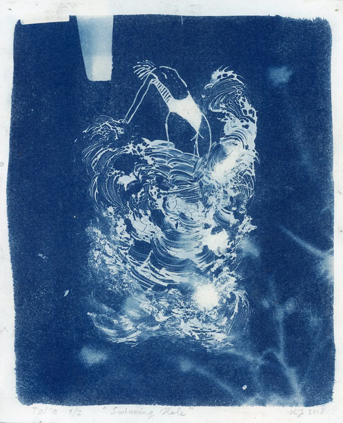 Heta Jäälinoja, Cyanotype 2018