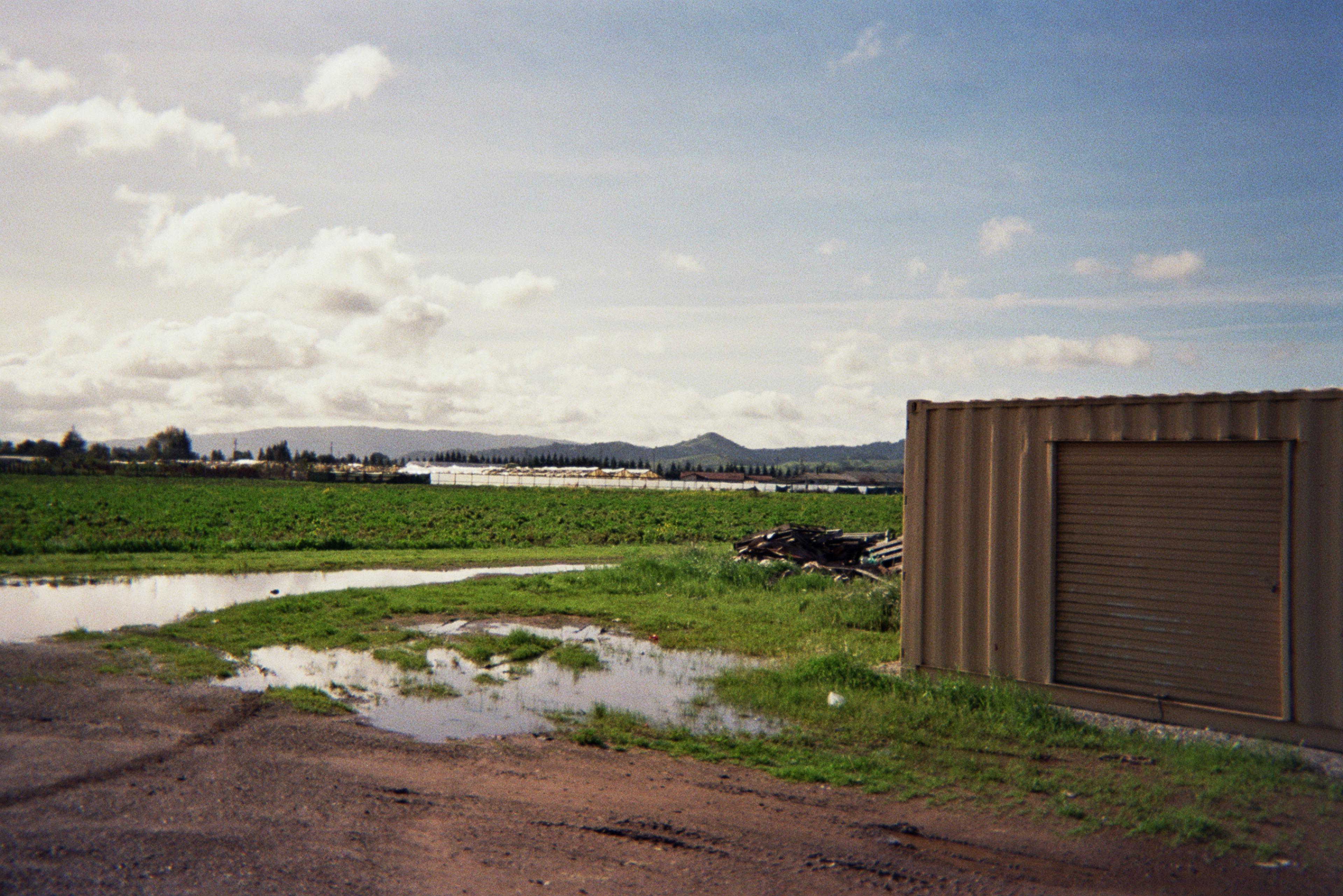 Spade & Plow's fields in California