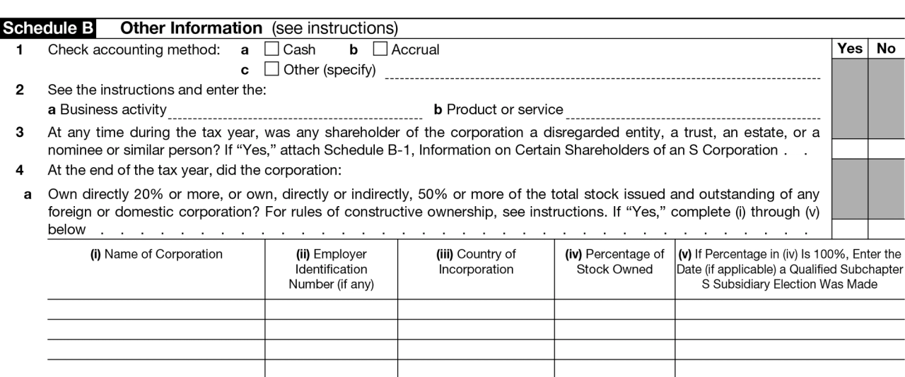 IRS Form 1120-S: A Simple Guide to Filing Your Taxes as an S ...