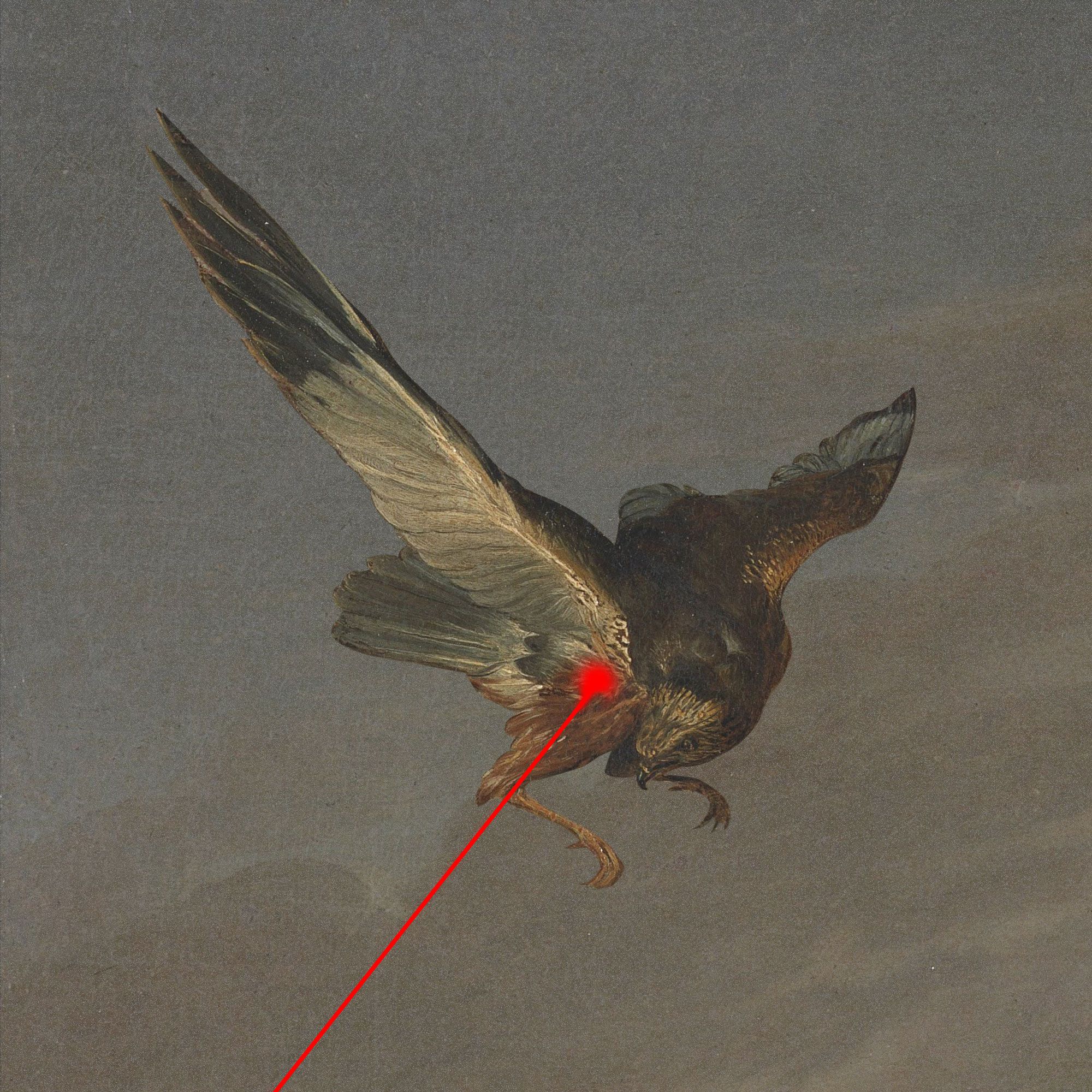 Attacking Bird Flu With Lasers - Offrange