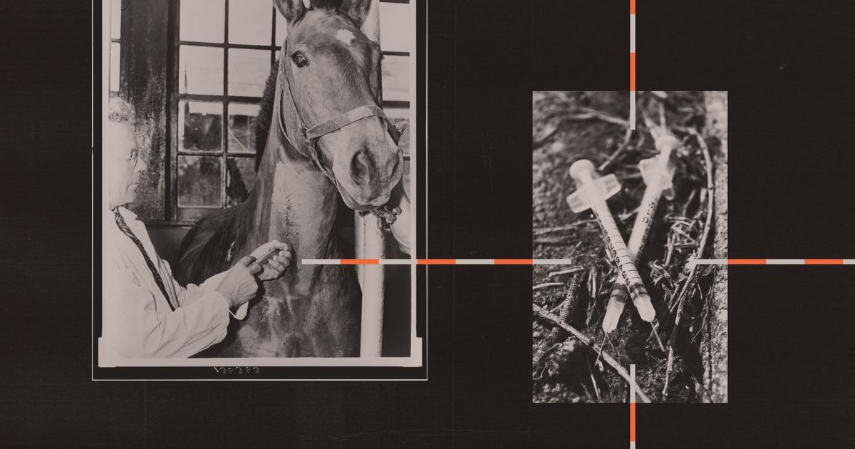 “Vital” Sedative for Cattle and Horses Is in DEA Crosshairs Ambrook Research