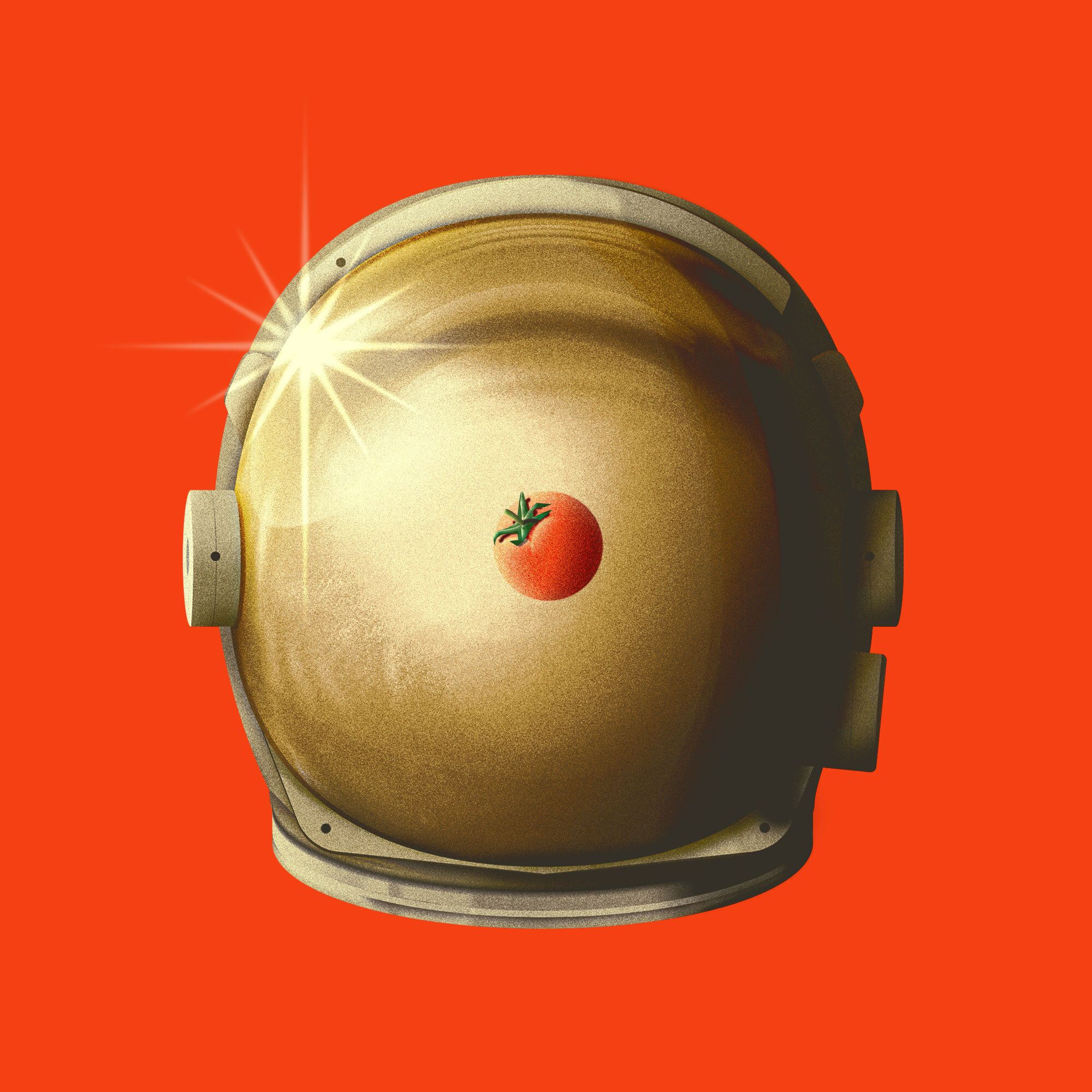 ミュージシャン tomato Growing Tomatoes Without Photosynthesis - Offrange