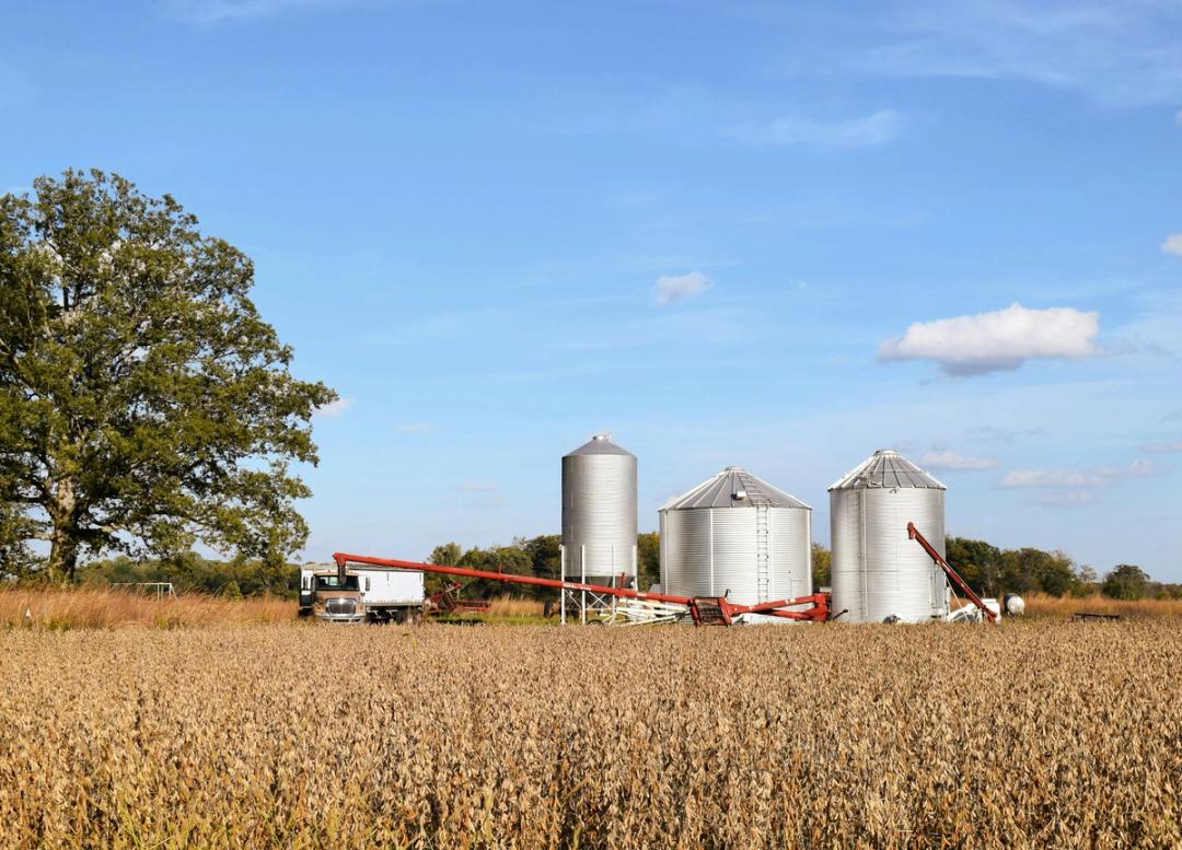 How to Choose the Right Business Structure for Your Farm or Ranch - Ambrook