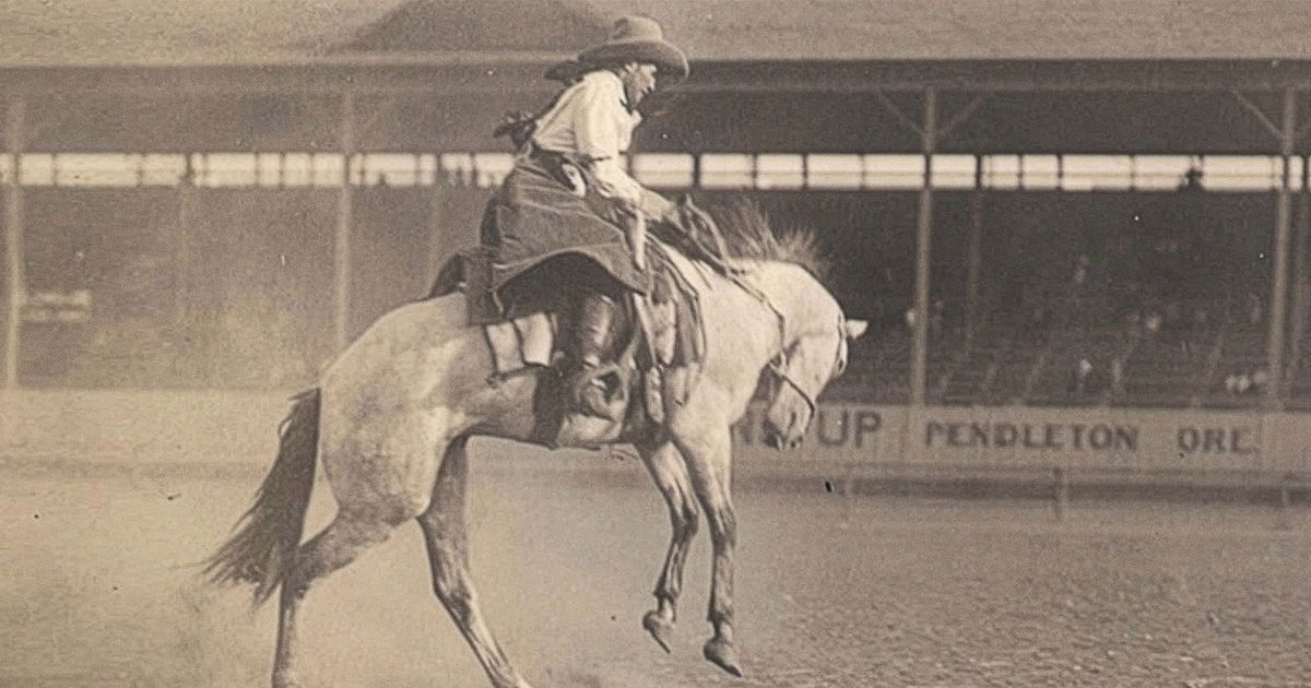Cindy Alexander Rodeo Rider Forget the Cowboy Way - Offrange