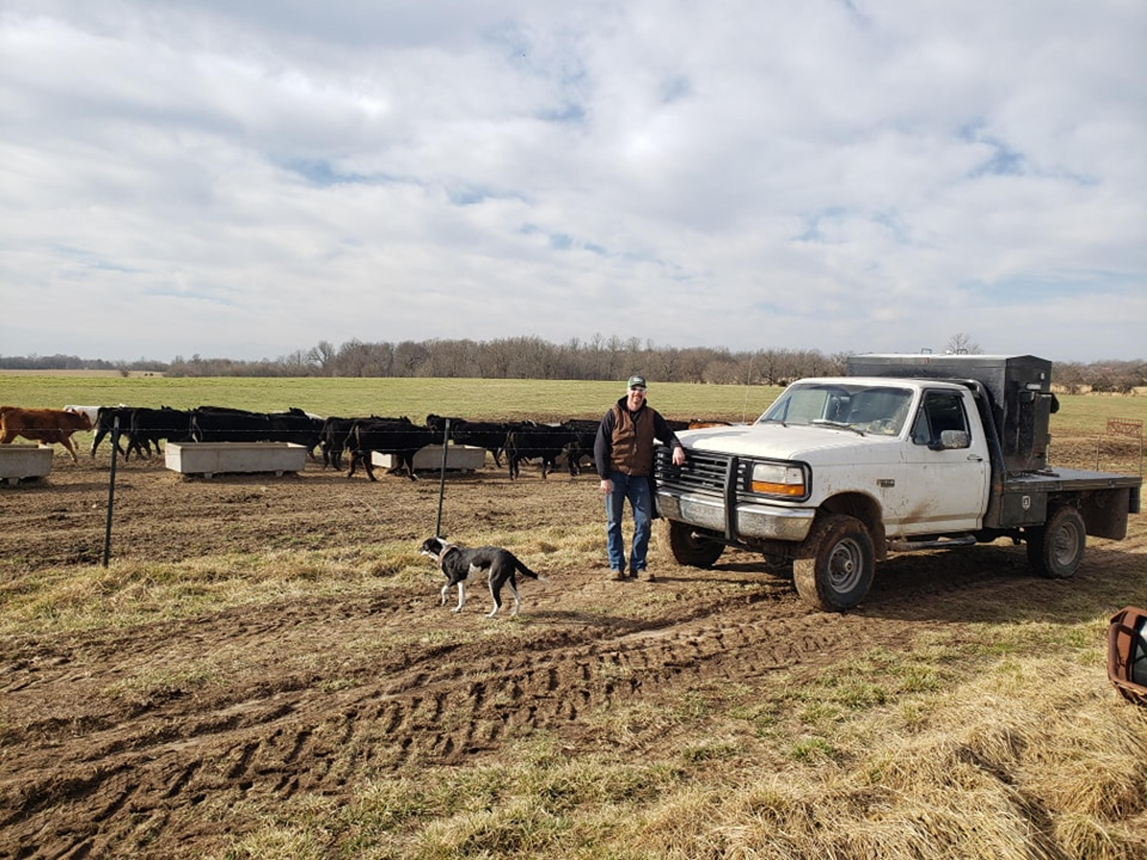 How 4K Cattle rebuilds equity with better farm accounting software