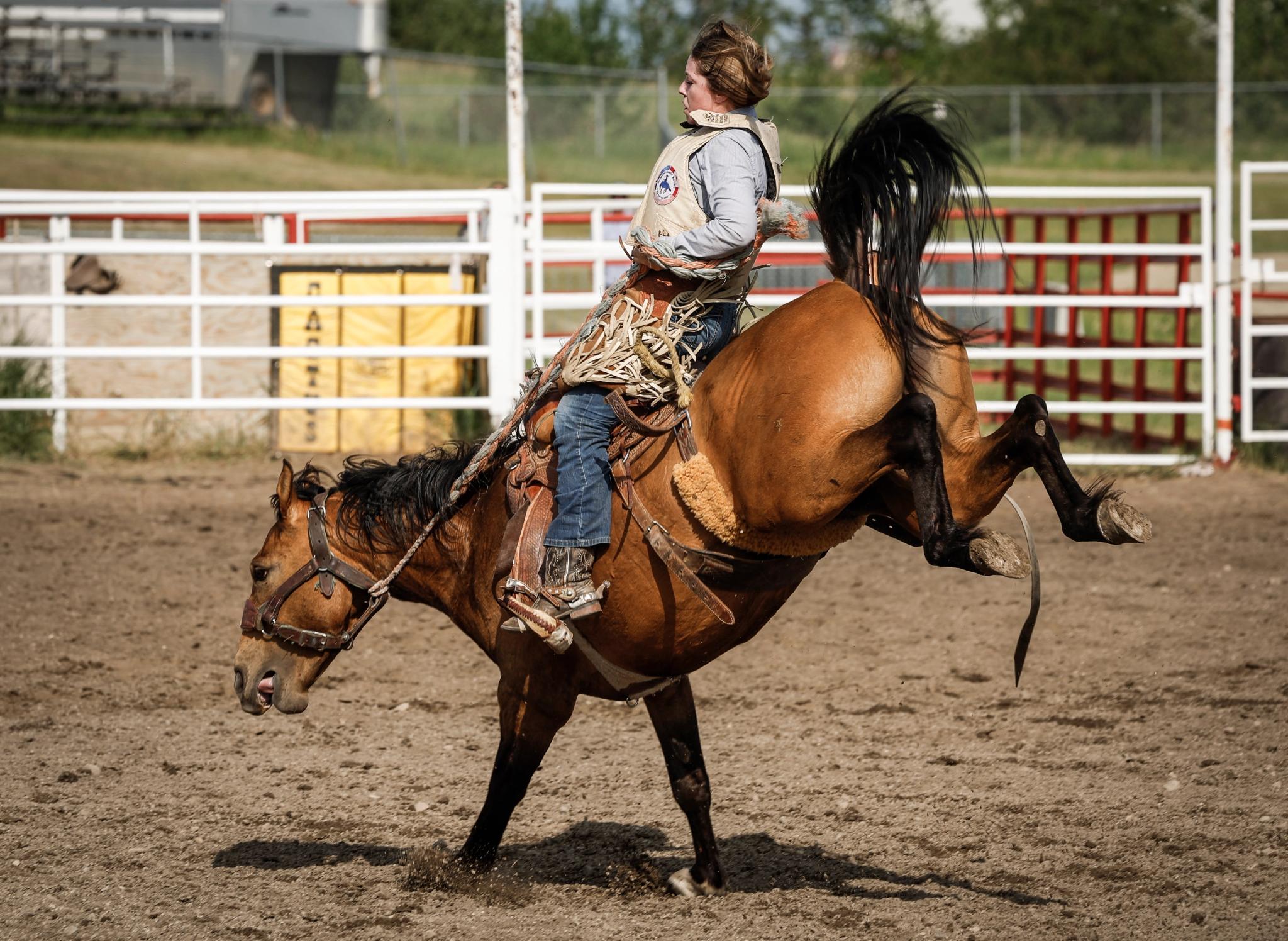 Forget the Cowboy Way - Offrange