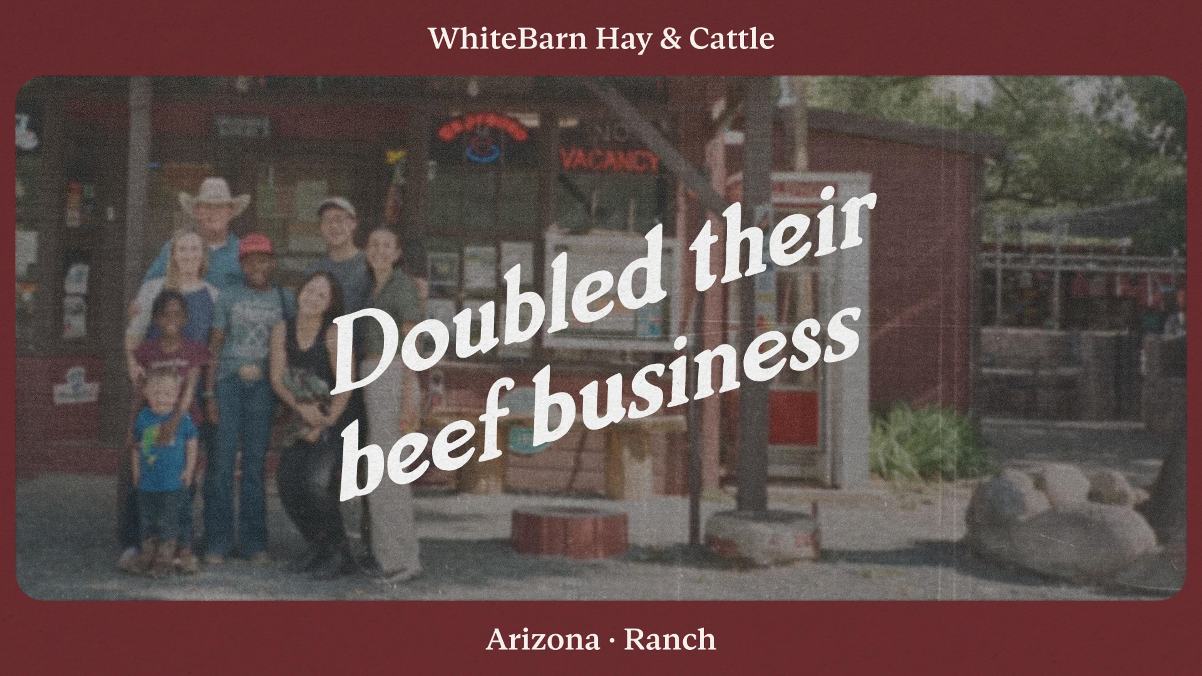 How WhiteBarn Hay and Cattle doubled their beef business