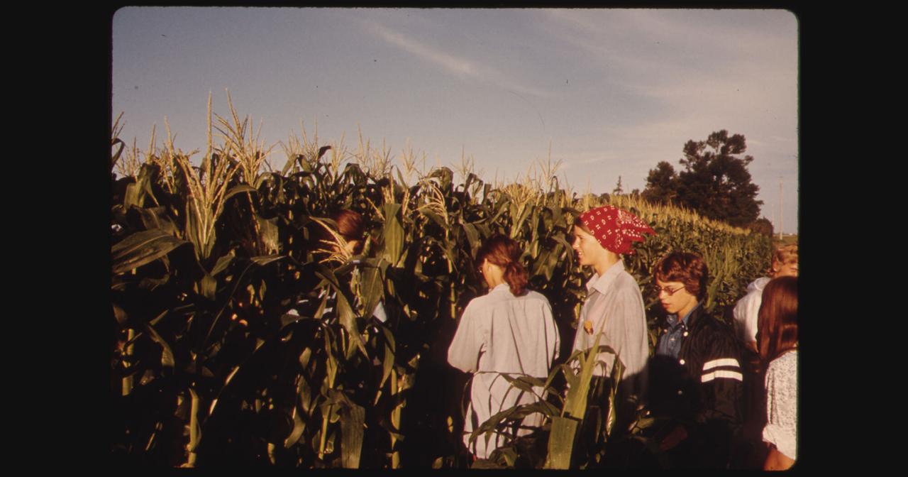 Teens in the Tassels: How Youth Farm Labor Still Powers the Midwest ...