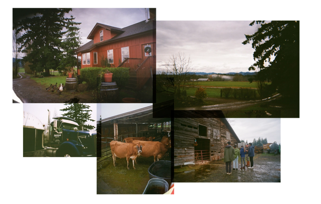 From Raw Milk to Cheese: How Fantello Farmstead Creamery Unlocks the ...
