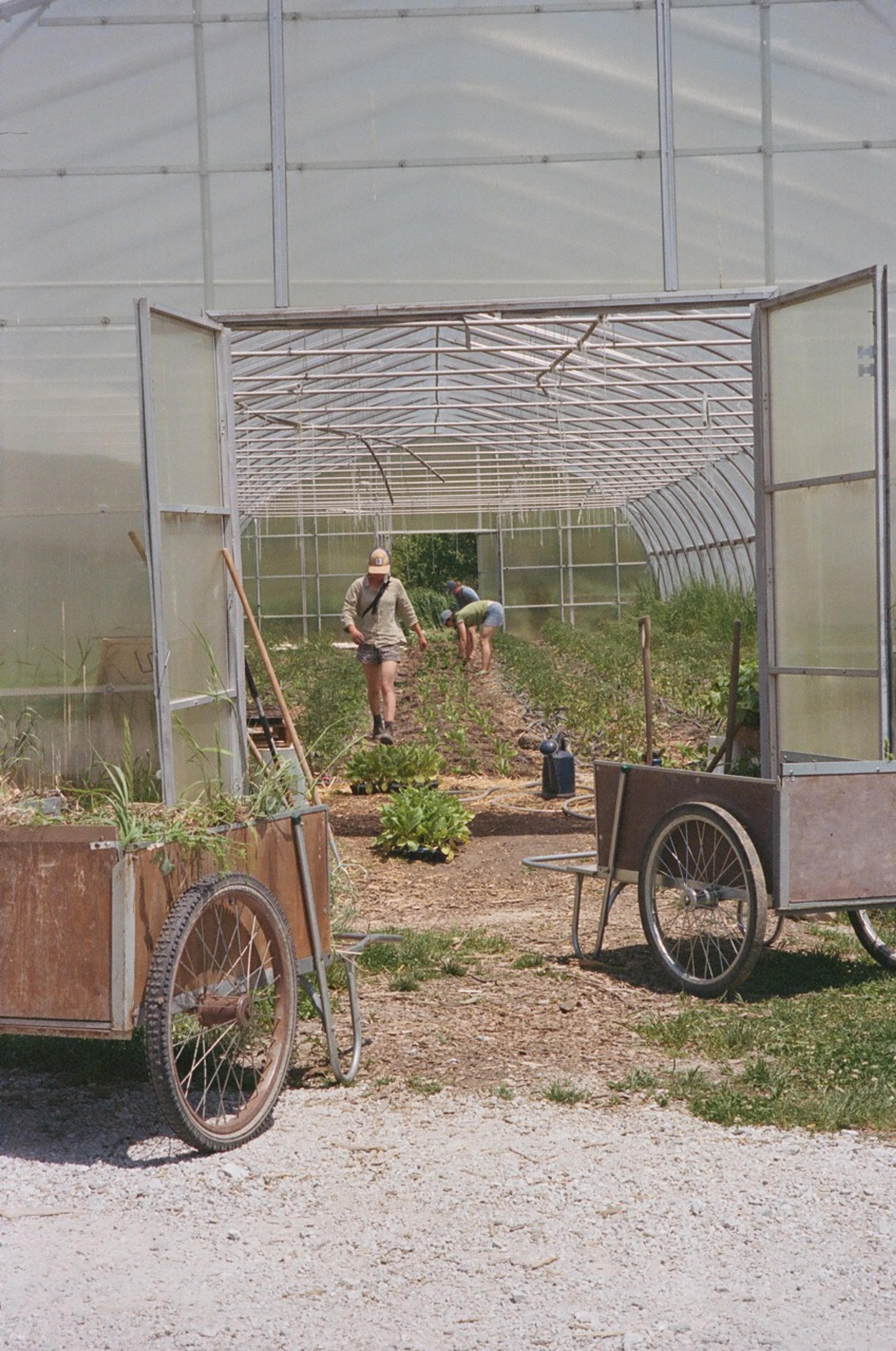 Ambrook customer testimonial portrait