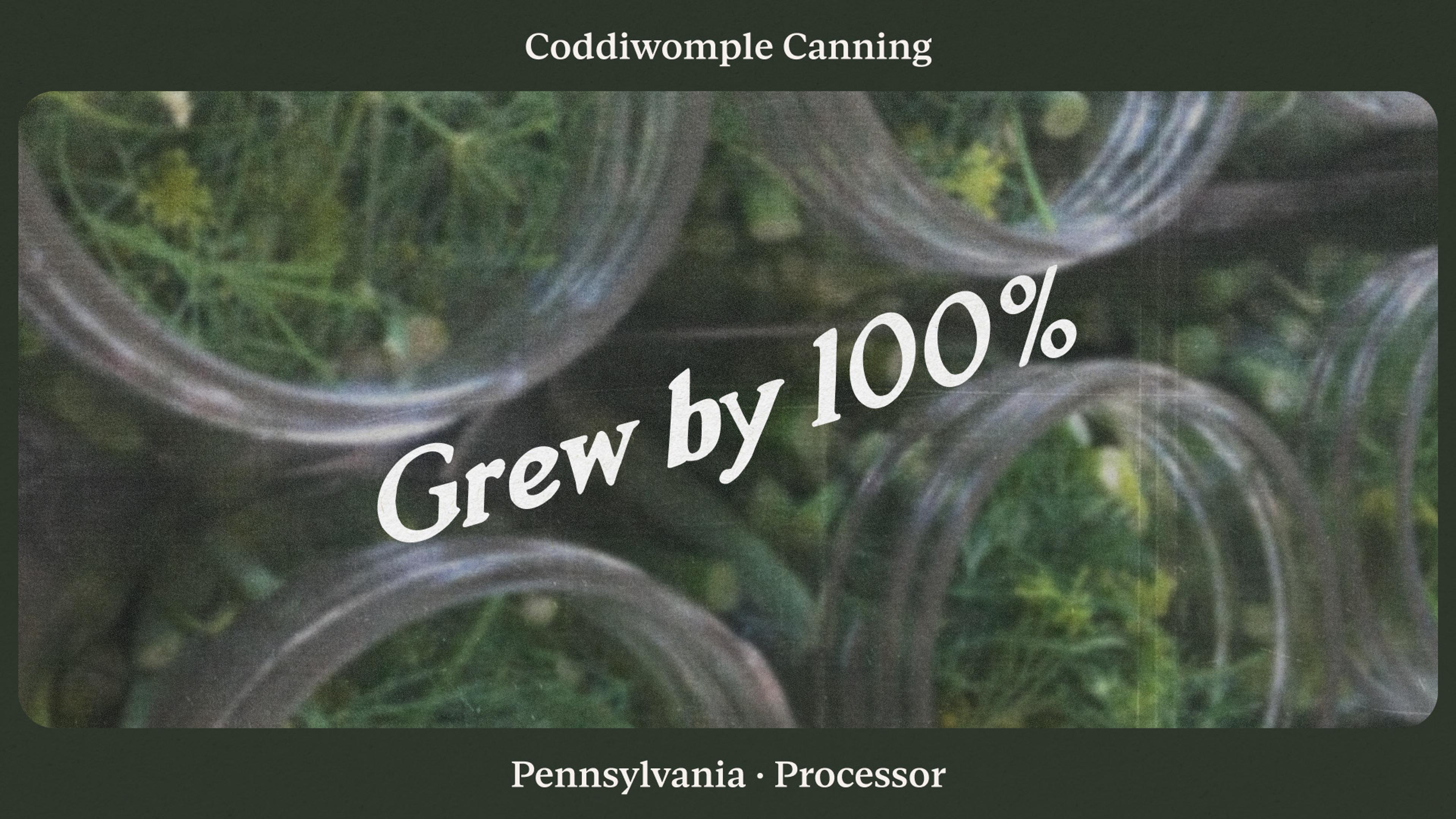 How Coddiwomple Canning doubled sales with financial clarity