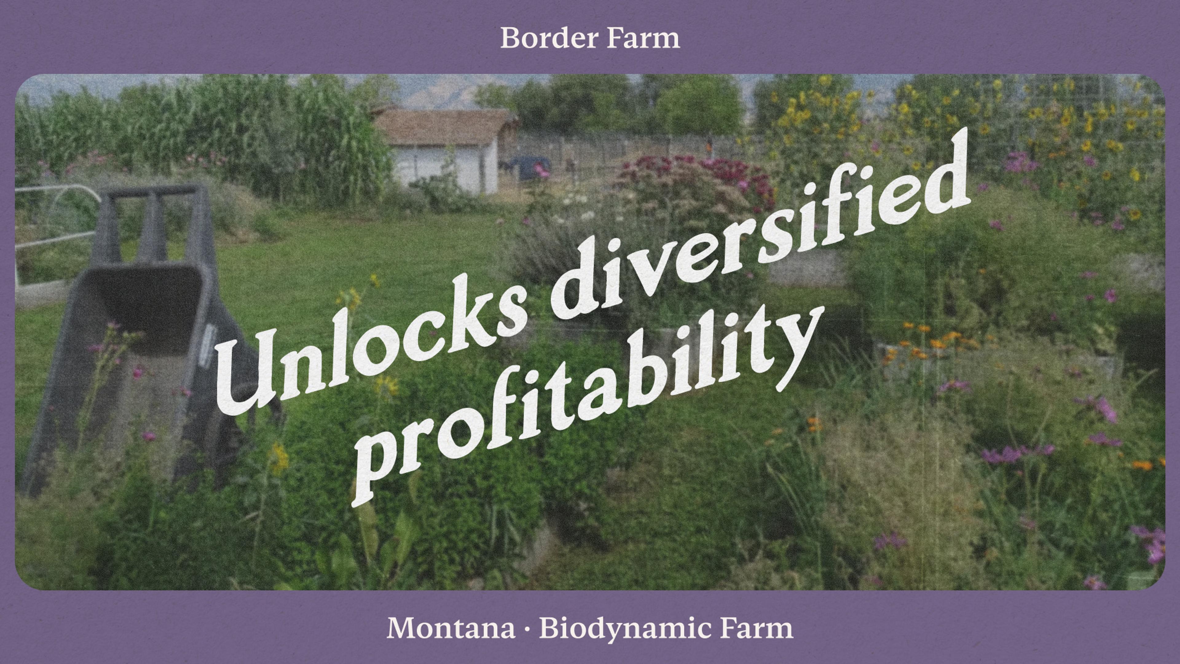 How Border Farm unlocked a new path to multi-entity profitability