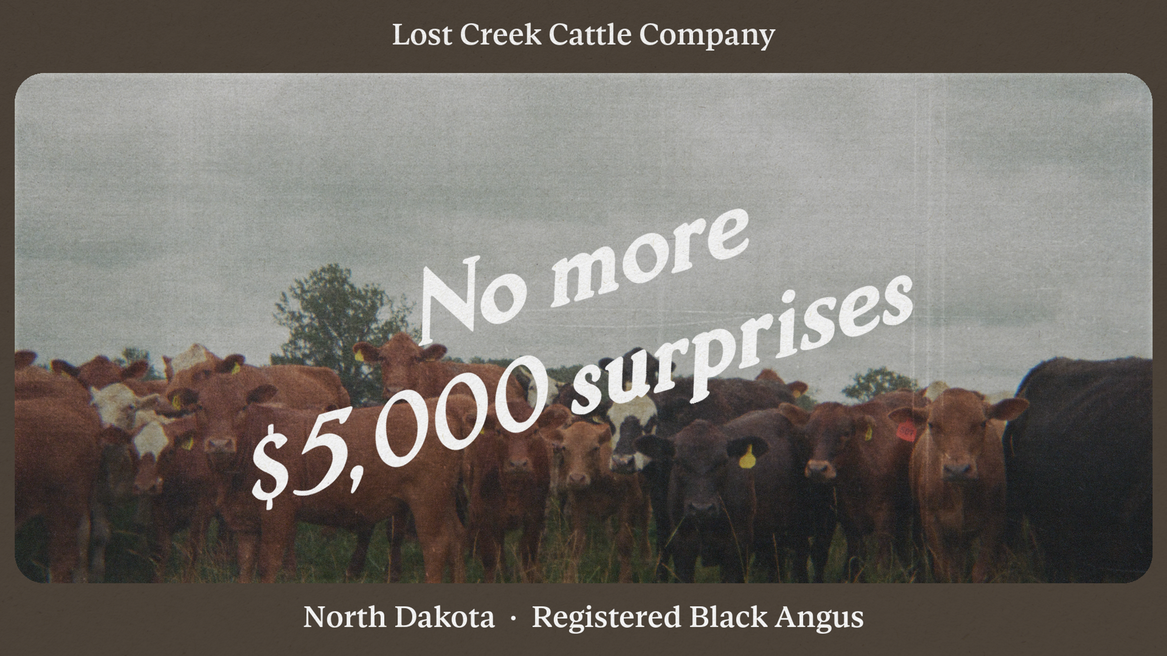 No more $5,000 surprises: How a Black Angus ranch built financial stability