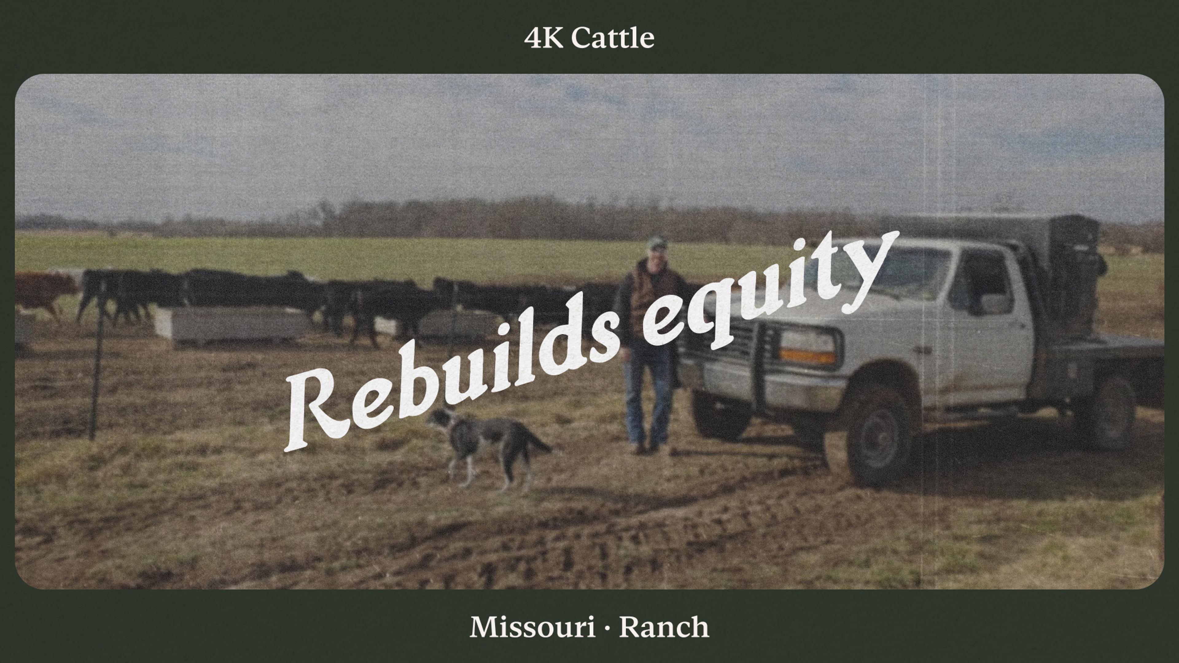 How 4K Cattle rebuilds equity with better farm accounting software