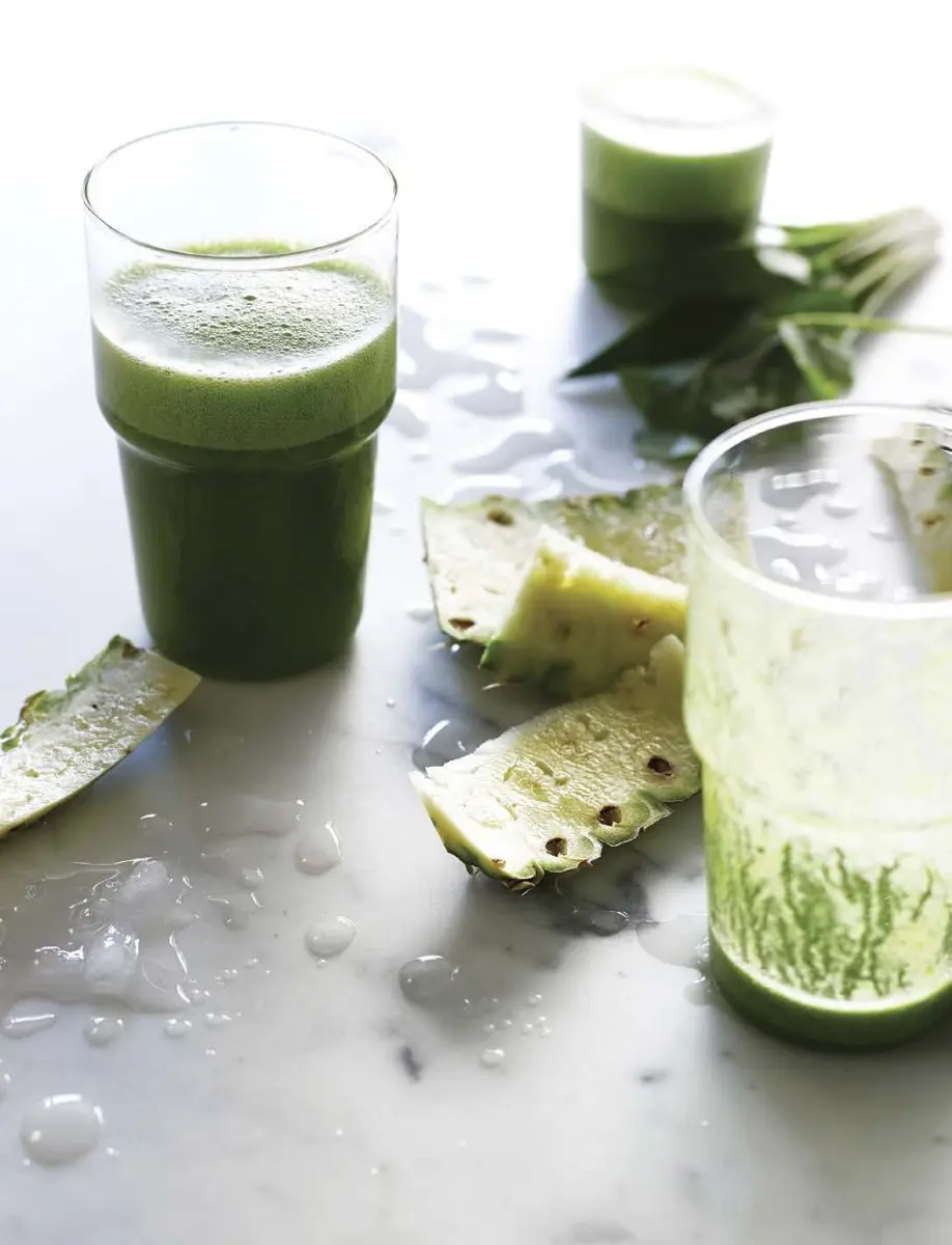 pineapple_salsa_smoothie_the_blender_girl.jpg