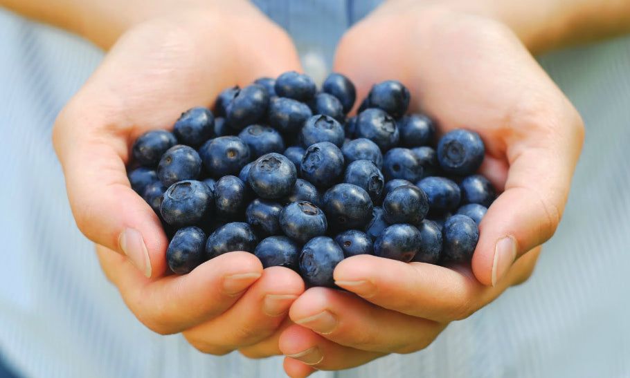 10 Surprising Facts You Didn’t Know About Blueberries! - GoodnessMe