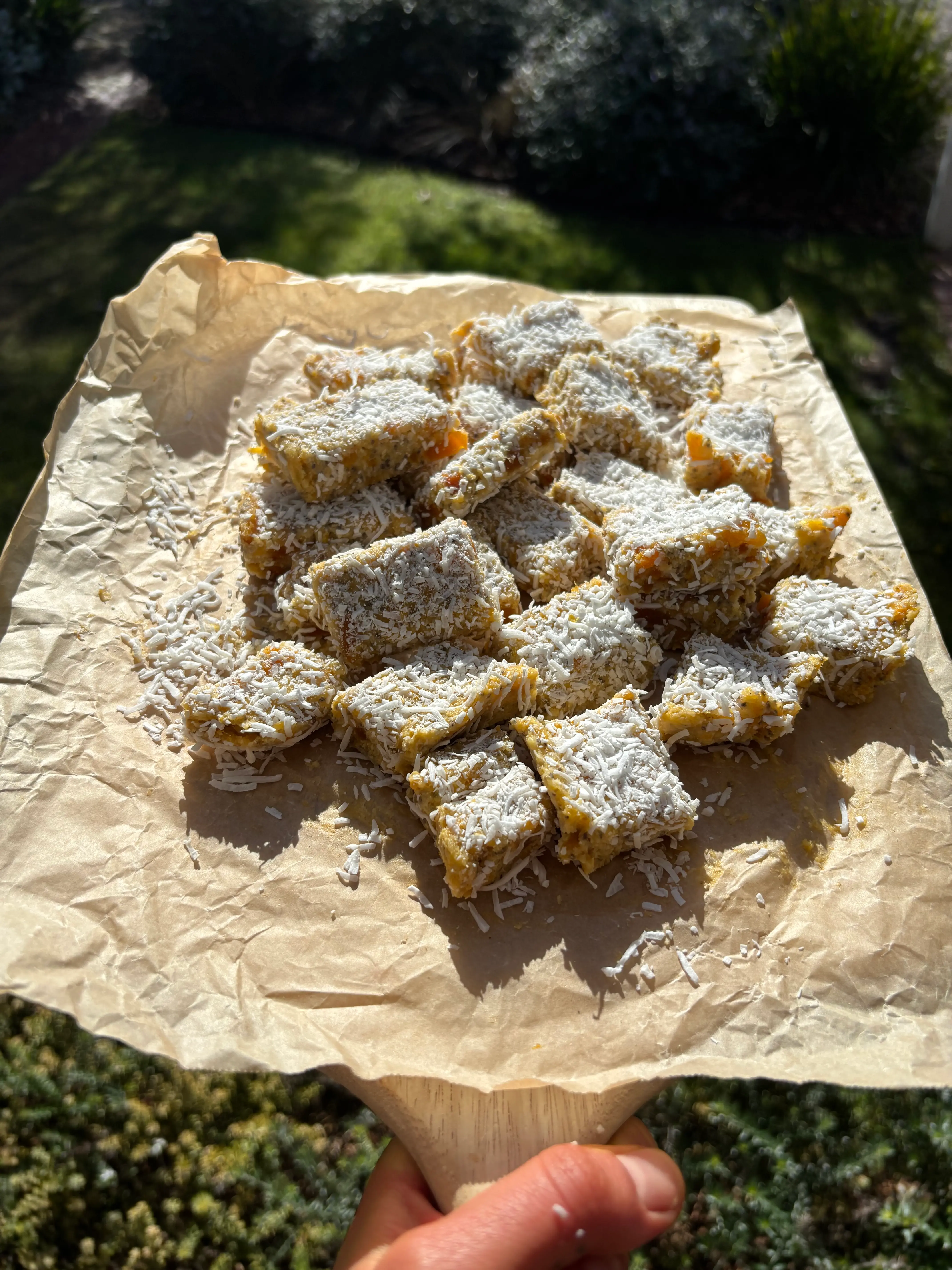 No-Bake Apricot Lemon Bites