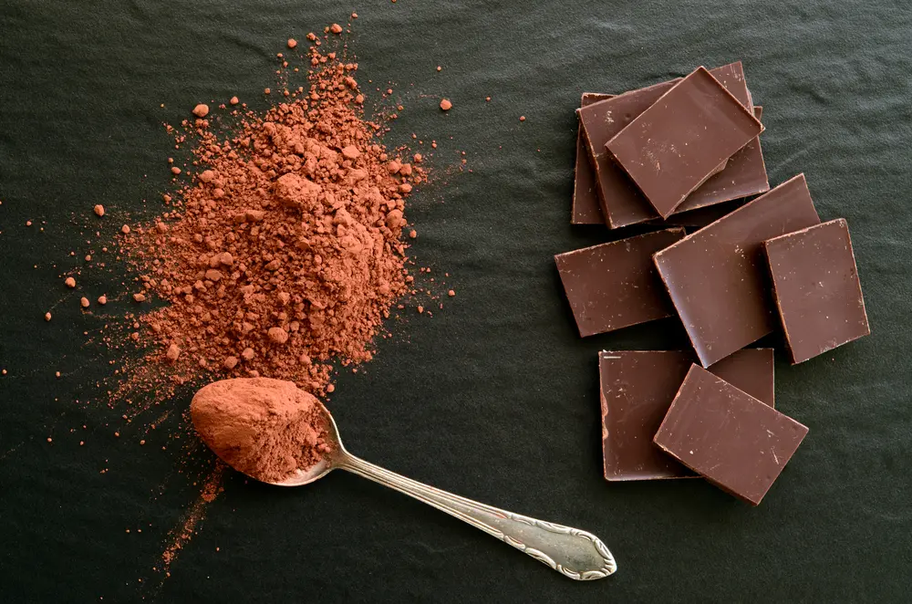 what_makes_a_quality_dark_chocolate.jpg