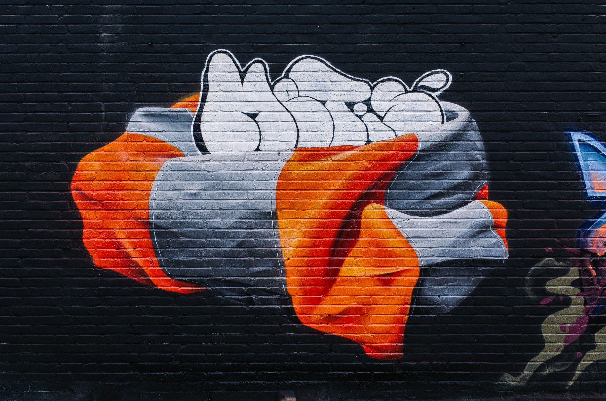 Reflective Vest x Metis Throwup