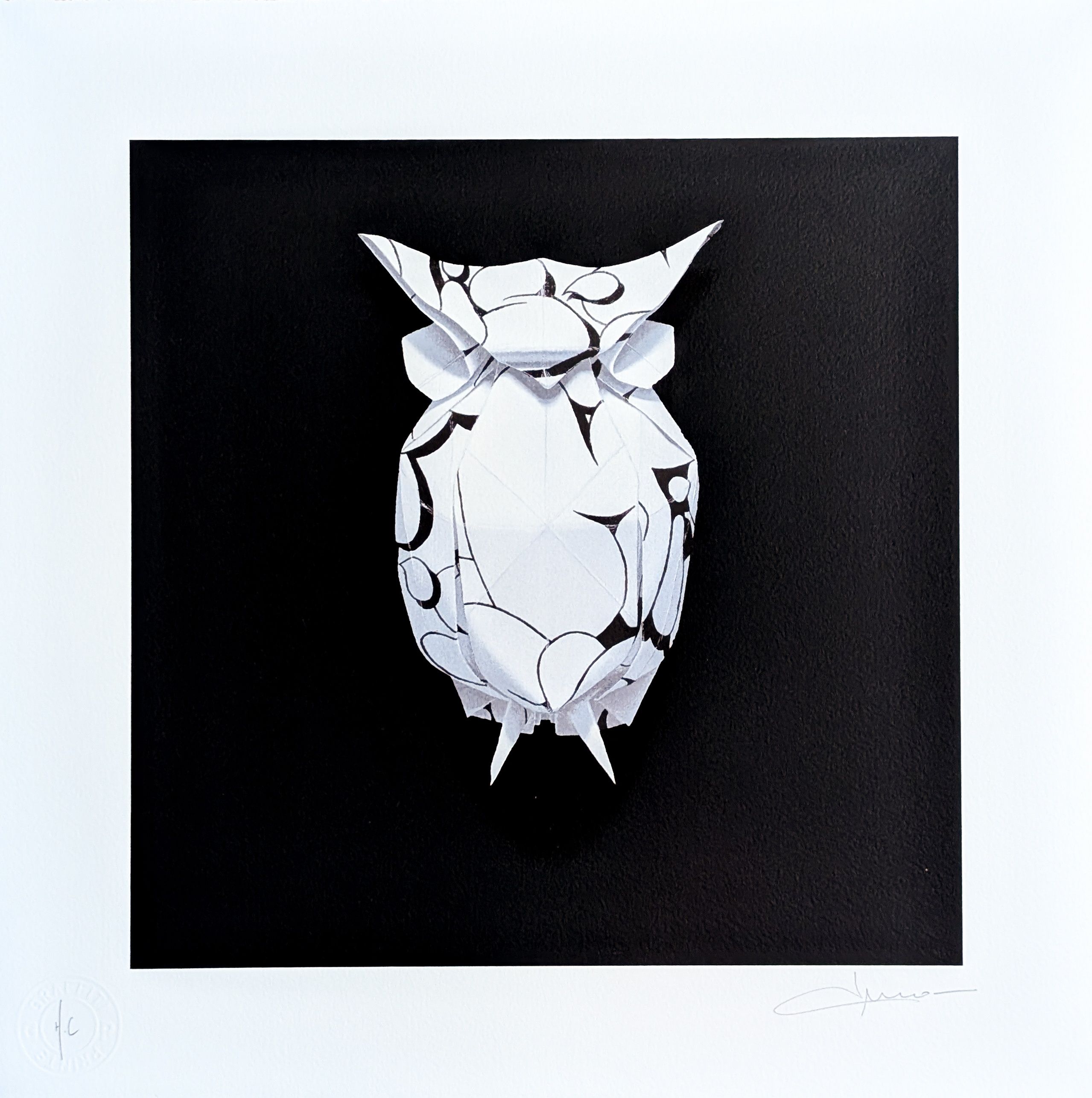 Paper Owl I - Black BG