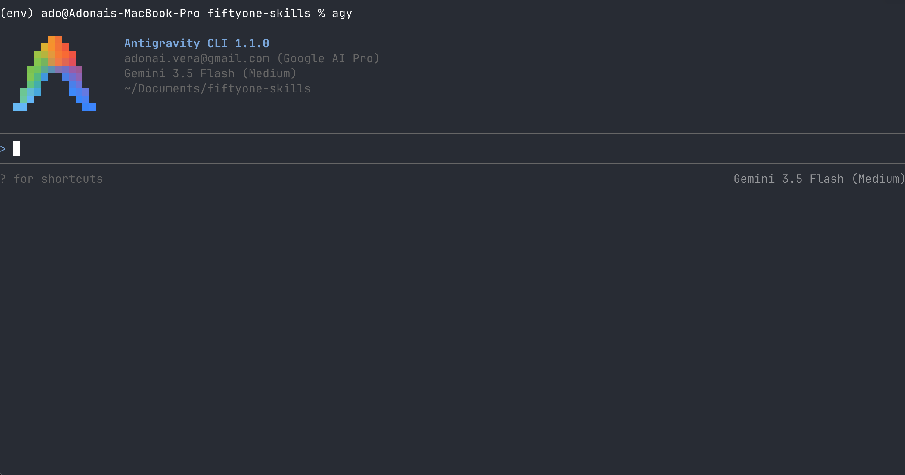 The Antigravity CLI welcome screen after launching the agy binary.