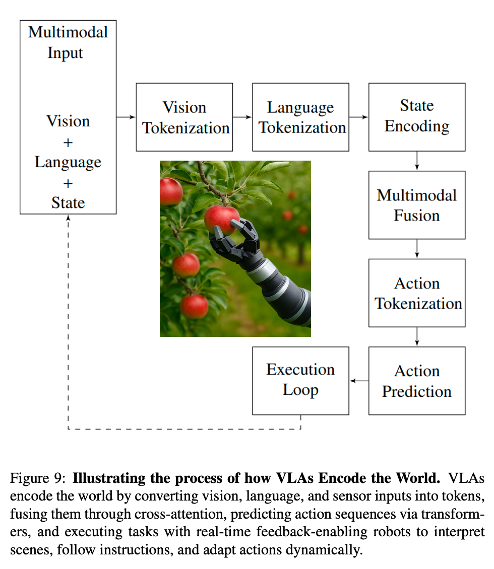 Flowchart of a vision-language-action model pipeline, running from multimodal vision, language, and state input through tokenization and multimodal fusion to action prediction and an execution loop, with a robotic hand picking apples at the center.
