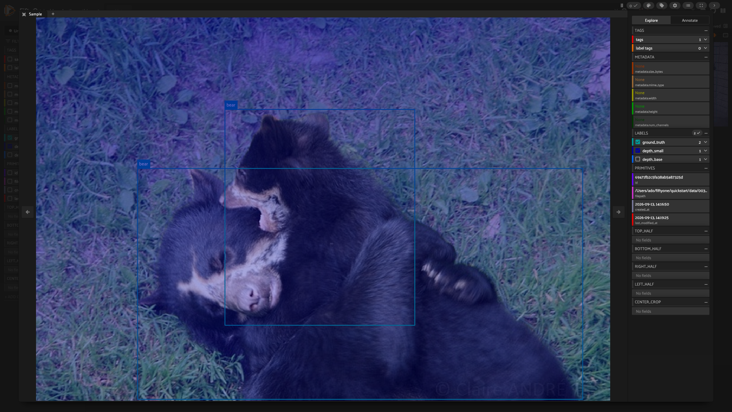 Two bear cubs wrestling on grass in the FiftyOne App with two ground truth bear boxes and the depth_small overlay, the clearest near and far separation of the six images.