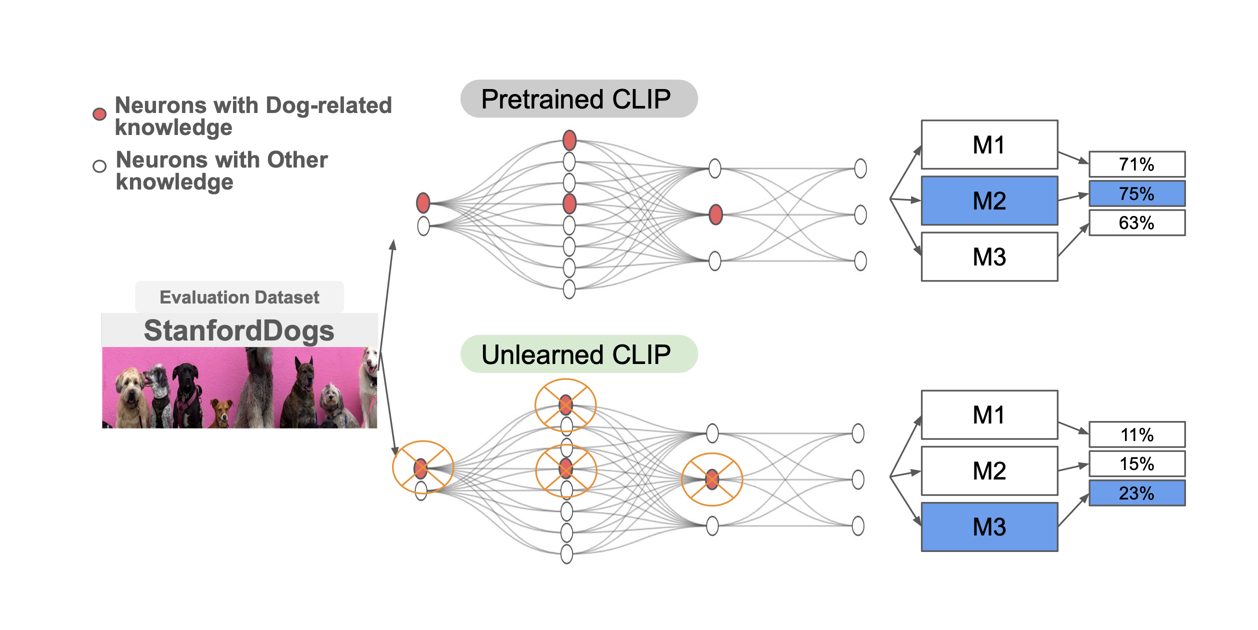 CV Research: Visual example of how a few-shot CLIP methods are evaluated.