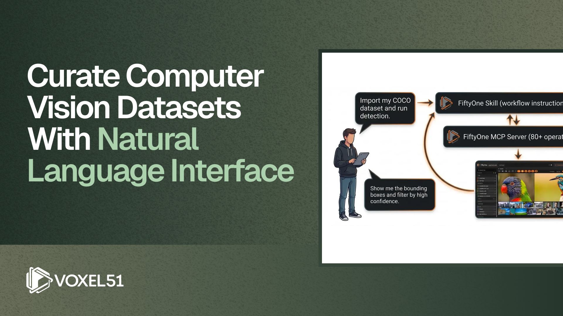 Curate Computer Vision Datasets with Natural Language Interface