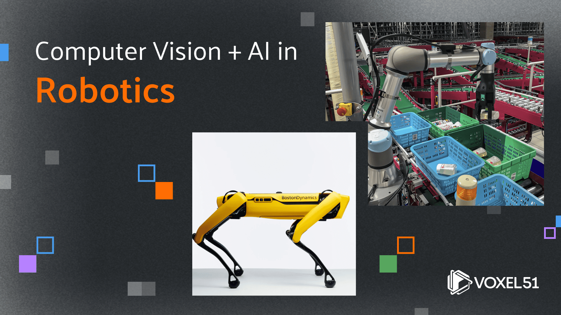 Blog title image that says, Computer Vision and Robotics: The Future of Intelligent Automation