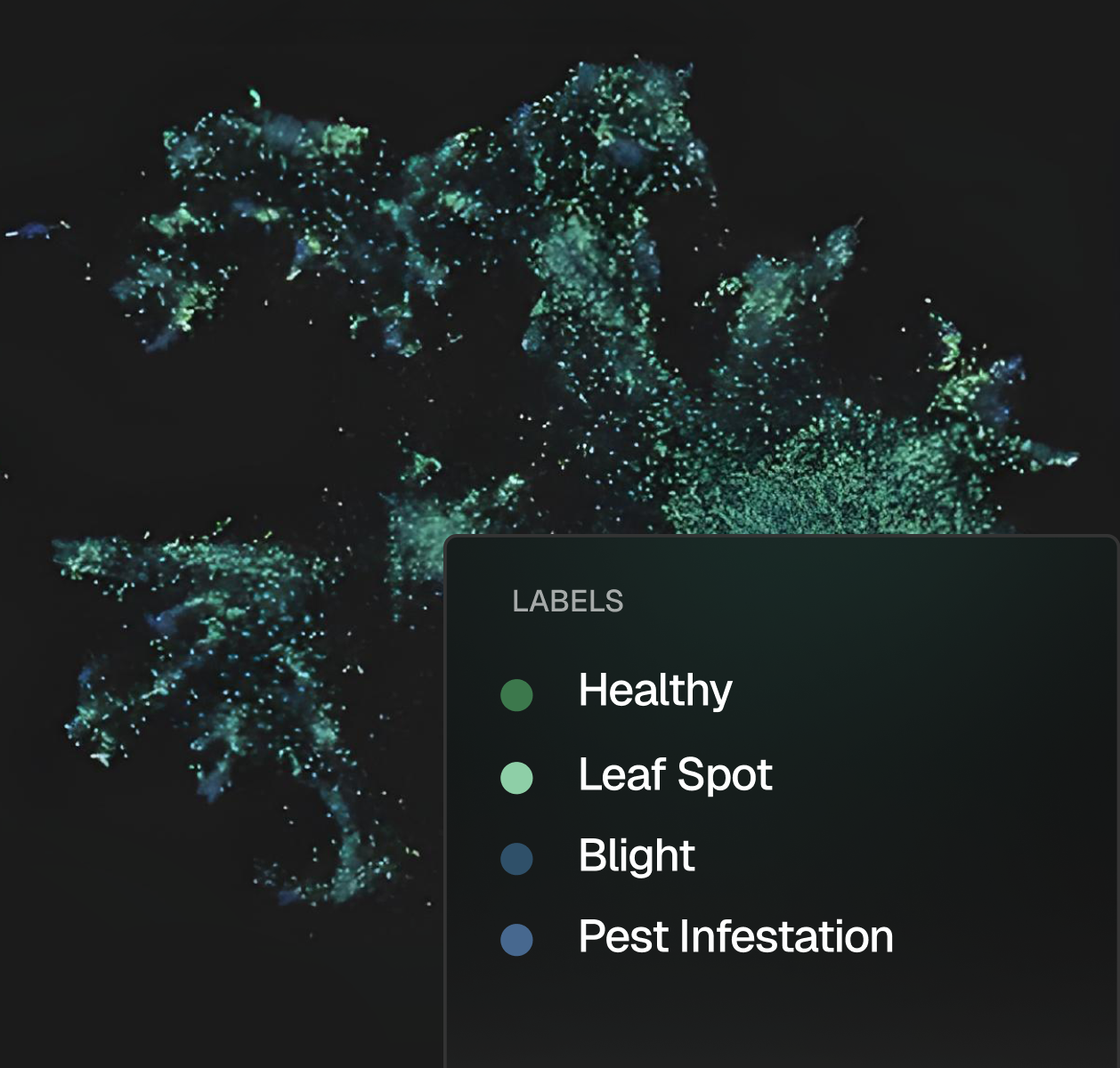 Visual AI Plant Embeddings