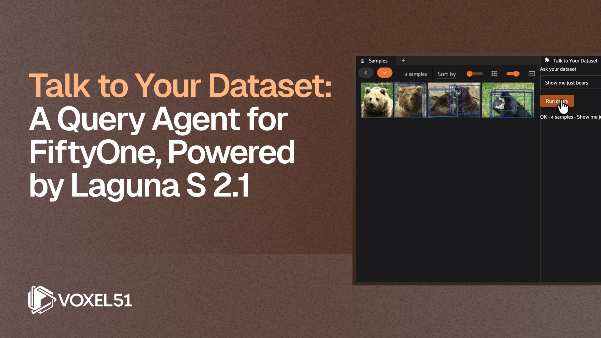 Laguna FiftyOne Query Agent