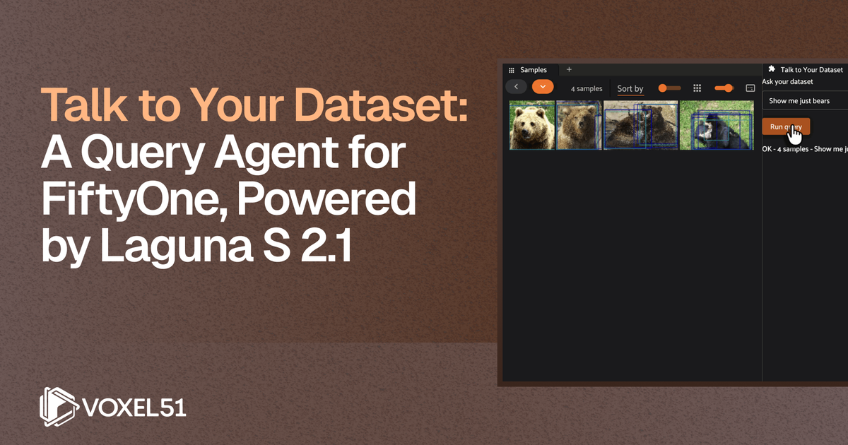 Laguna FiftyOne Query Agent
