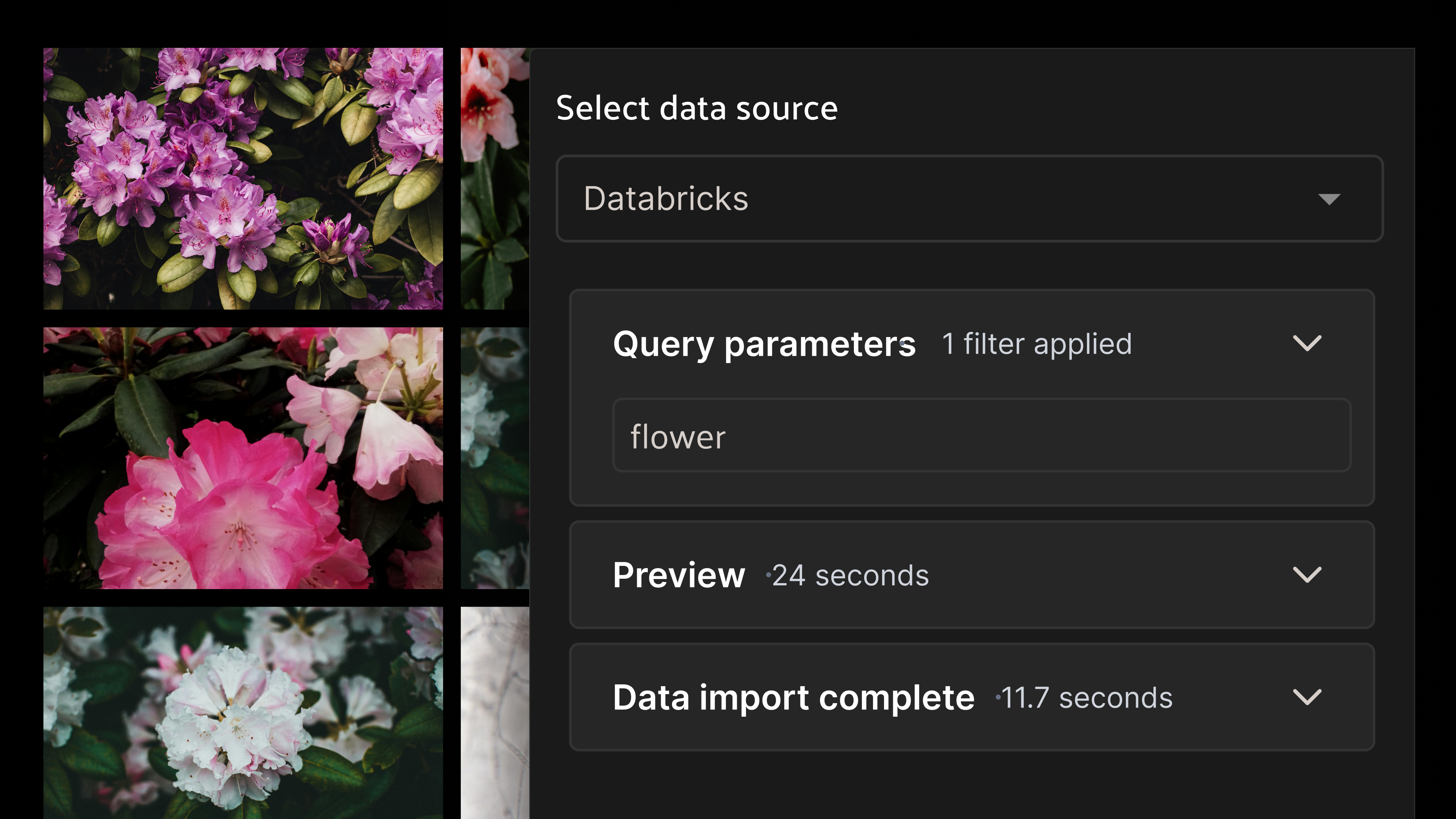 UI titled "Select data source" showing a Databricks connector selected, with a query parameter "flower" filter applied, alongside a grid of pink and white flower photos. Below the query panel, expandable sections show "Preview" (24 seconds) and "Data import complete" (11.7 seconds) steps.