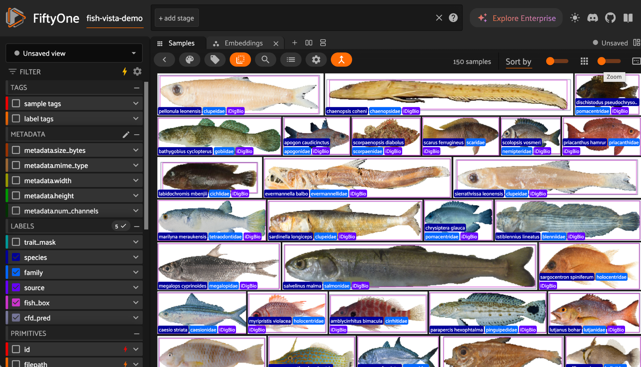 FiftyOne grid of Fish-Vista museum fish specimens in natural color, each tagged with species, family, and source