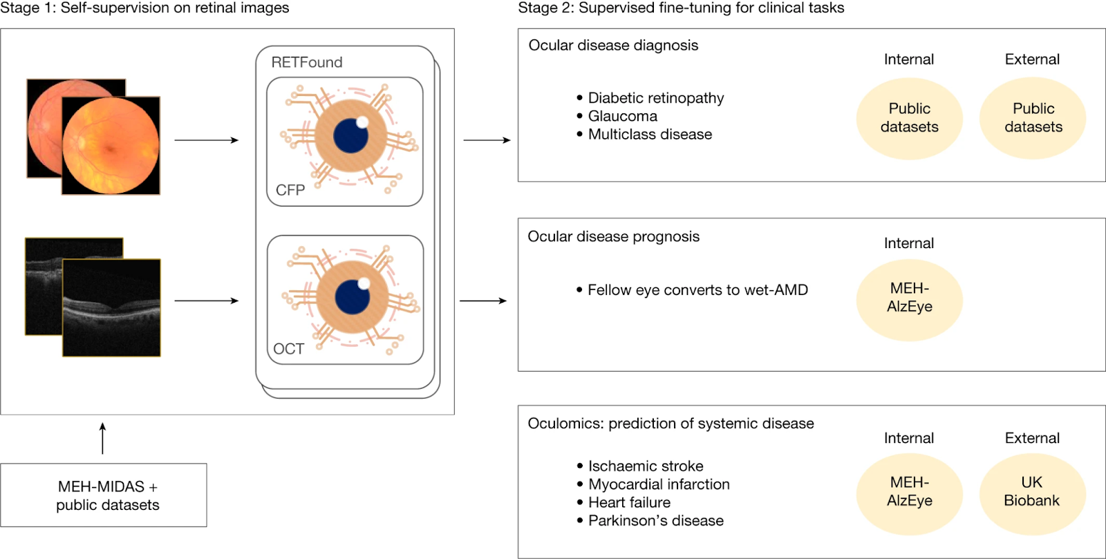 RETFound is a foundation model trained on over 1.6 million NHS retinal scans that can diagnose eye diseases and predict systemic conditions like stroke and Parkinson’s. Its self-supervised learning approach enables high performance with minimal labeled data and strong generalization across diverse populations.