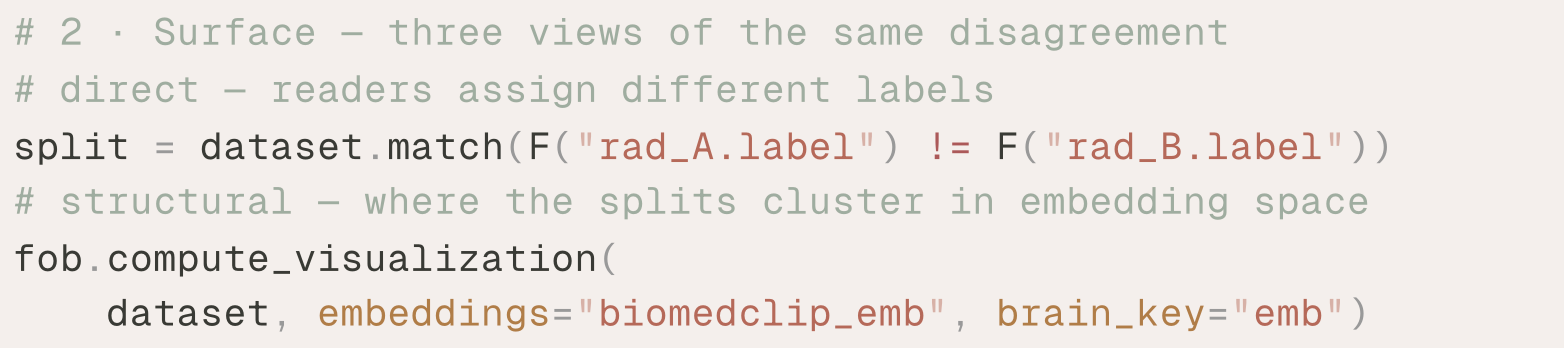 Code snippet showing two approaches to surfacing label disagreement: filtering a dataset for cases where rad_A and rad_B assigned different labels, then computing an embedding visualization using BiomedCLIP to reveal how those splits cluster in vector space.