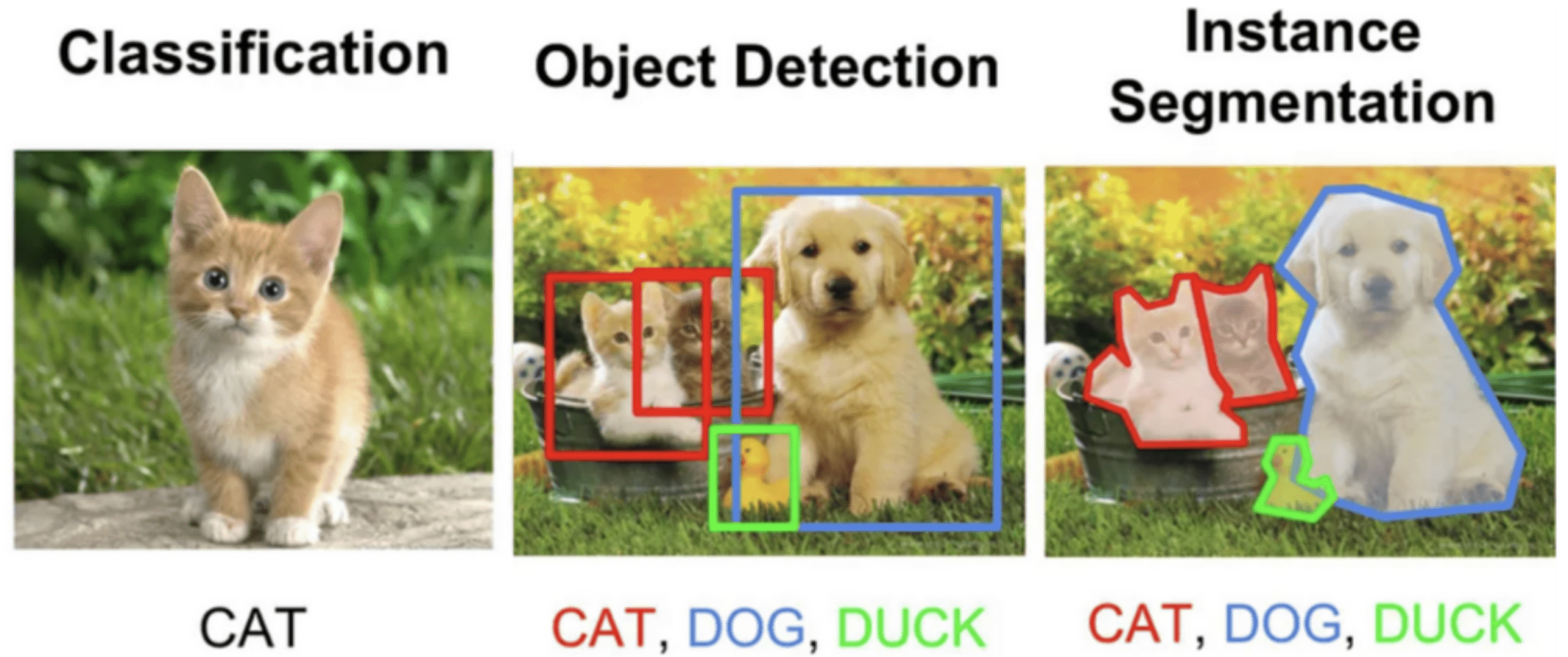 Object detection with baby animals.