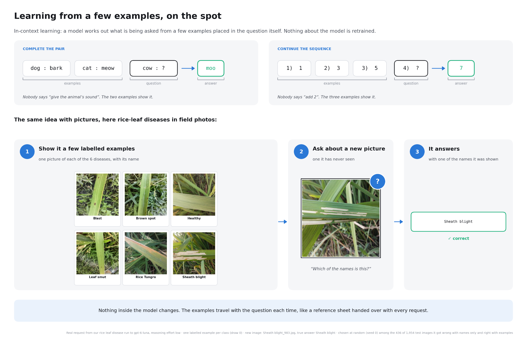 Diagram illustrating in-context learning with text and images. Text examples demonstrate how a model infers patterns, while six labeled rice-leaf images show how a vision-language model can correctly classify a new image as sheath blight without retraining.