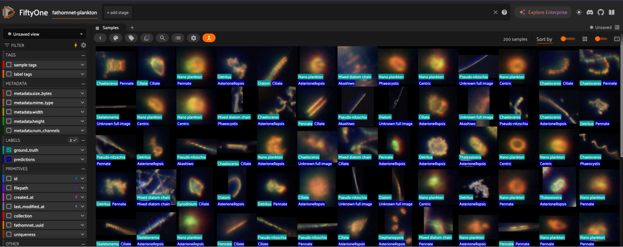 FiftyOne App grid of FathomNet plankton crops with ground truth and predicted labels such as Chaetoceros, Ciliate, and Nano plankton