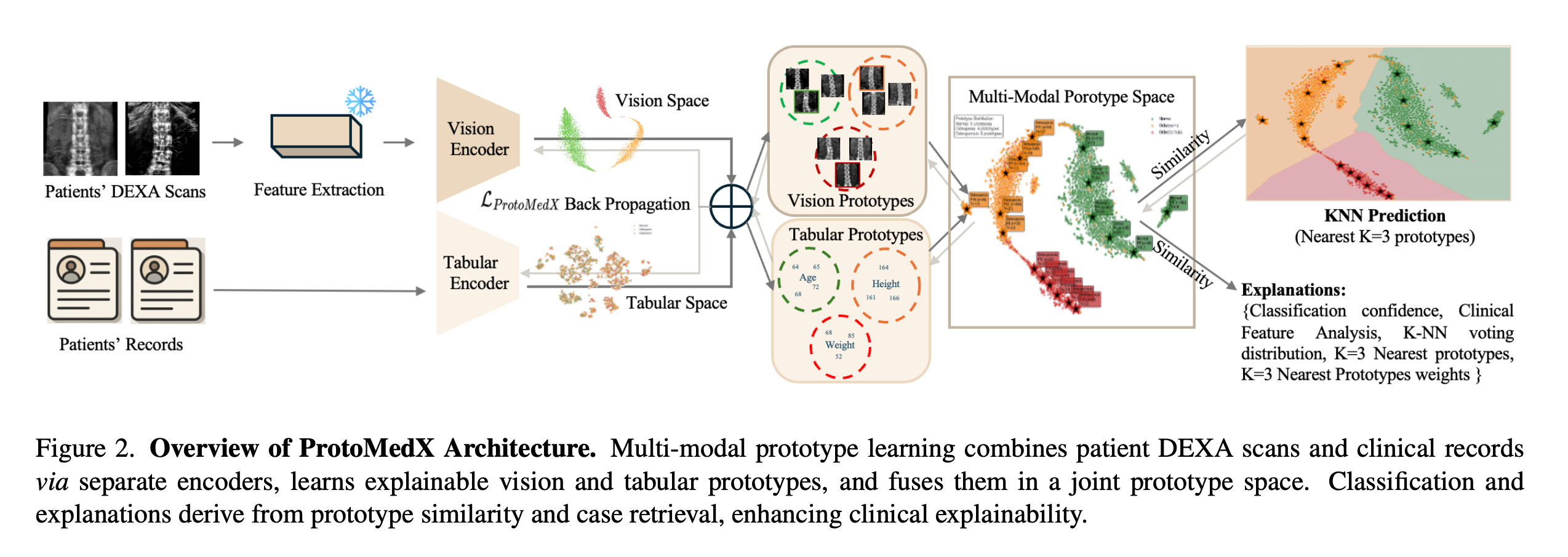 ICCV 2025: Visual of ProtoMedX architecture and clinical AI transparency.
