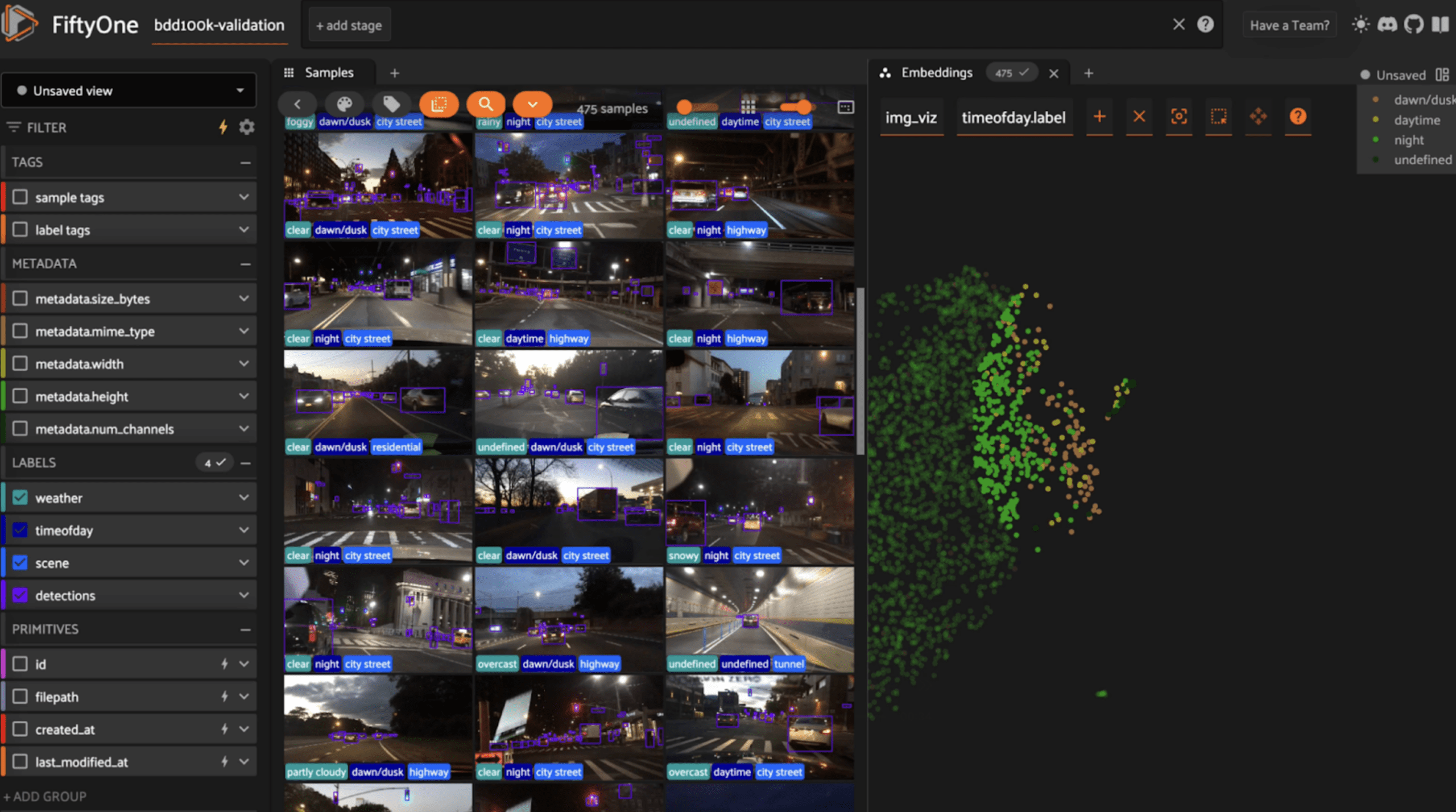 Visual dataset example in the FiftyOne platform dashboard