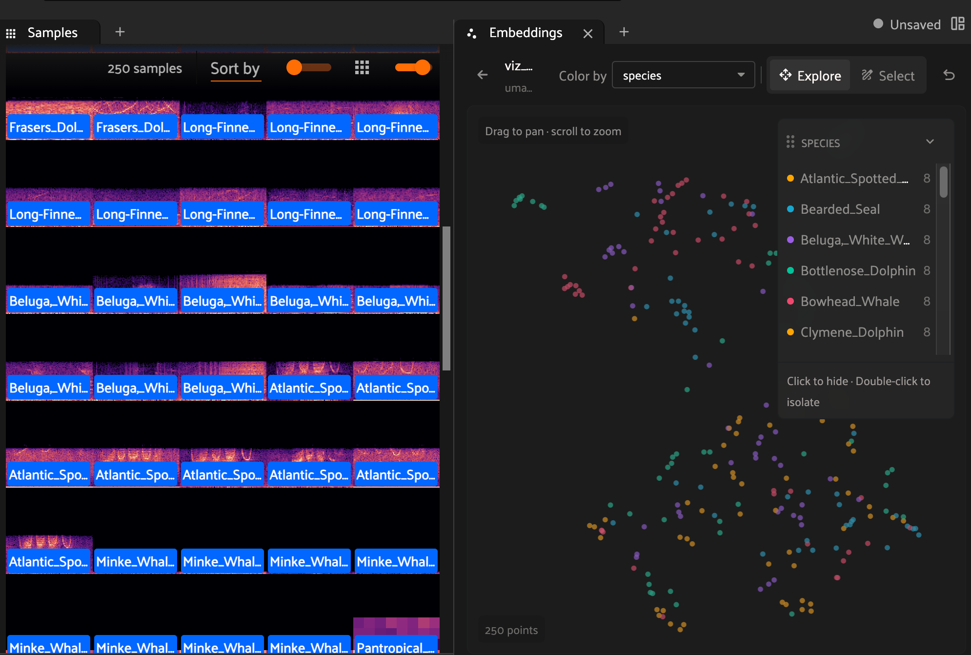 FiftyOne embeddings visualizer showing a 2-D UMAP projection of whale song embeddings colored by species, beside the spectrogram grid.