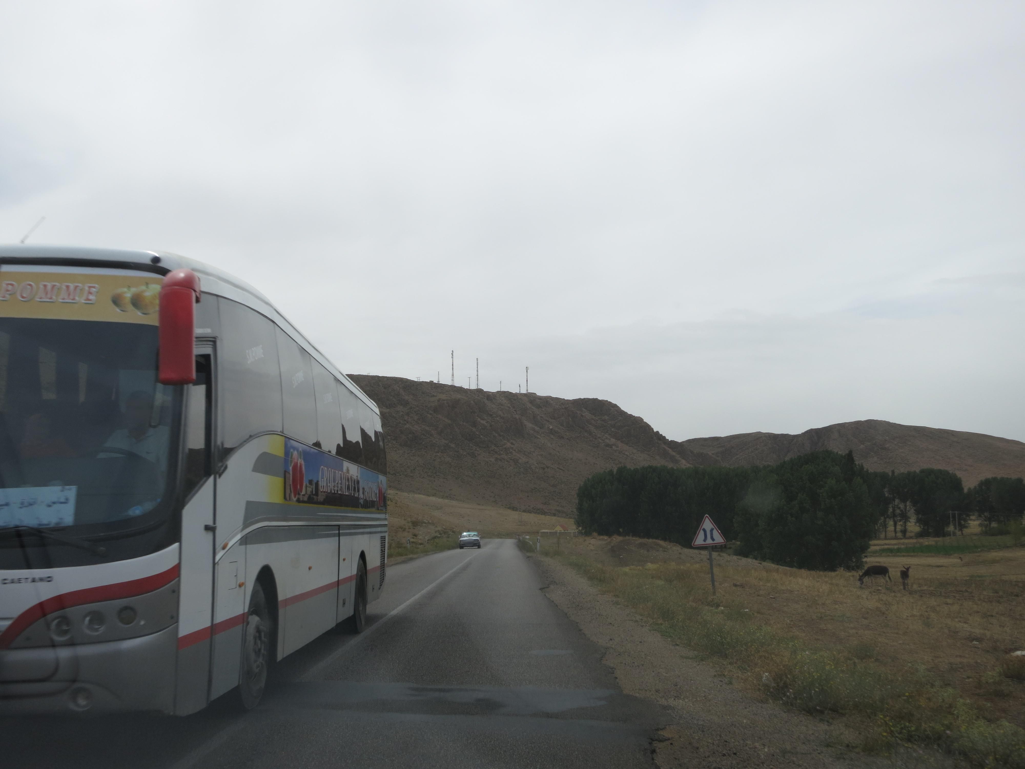 A full-resolution roadside scene with a bus, an open road, and hills, where two donkeys graze almost unnoticed in the field at the far right.