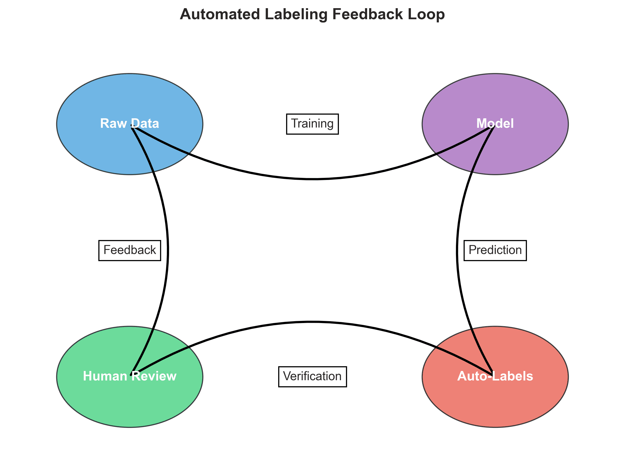 Automated labeling feedback loop flow chart