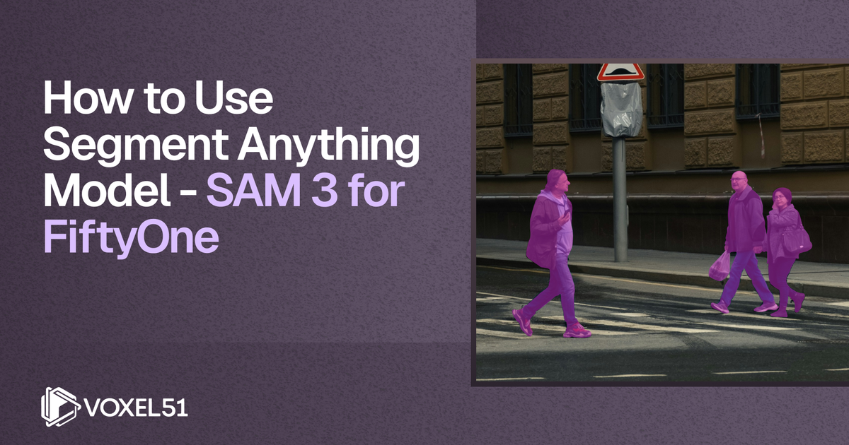 How to Use Segment Anything Model | SAM 3 Guide for FiftyOne