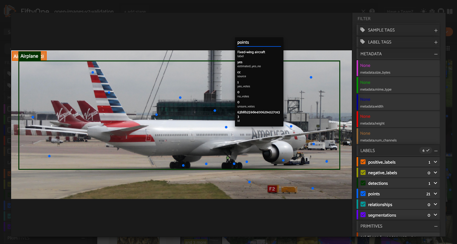 Close-up of a single image from Open Images V7, including the contents of one of the “point labels”. Image by author.