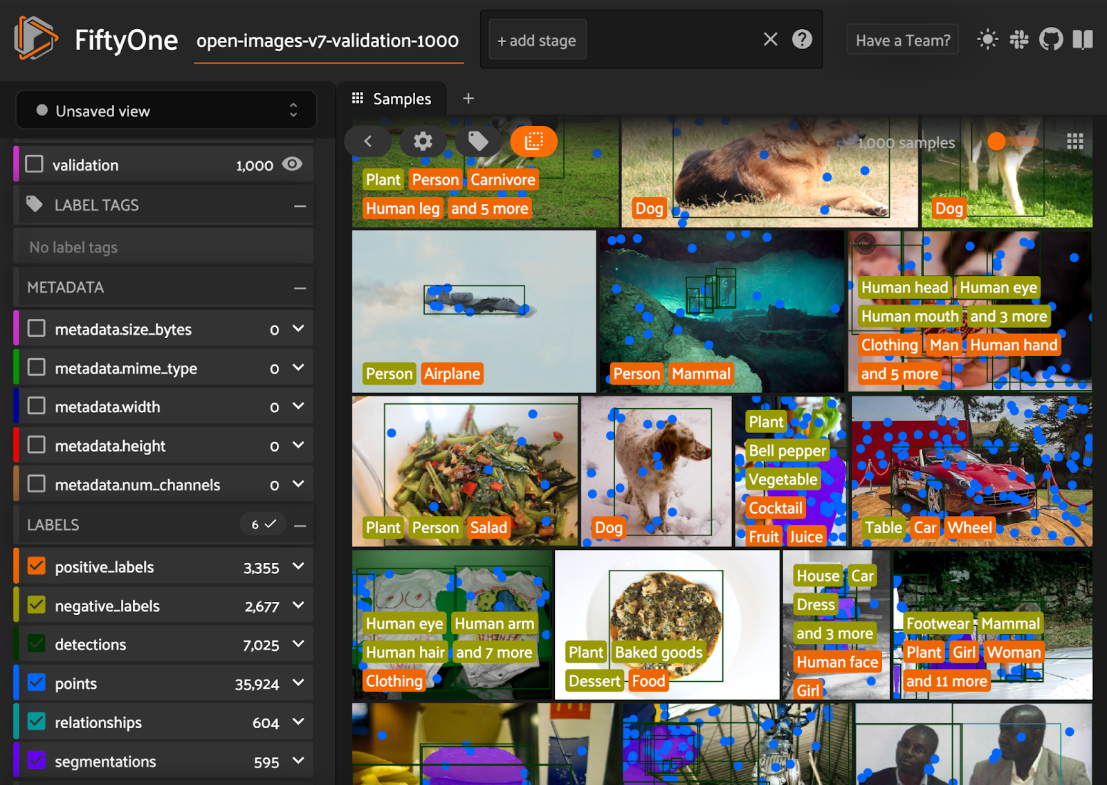 1000 images from the Open Images V7 validation split visualized with labels in the FiftyOne App. Image by author.